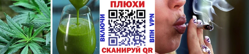 как найти закладки  Светлогорск  Еда ТГК марихуана 