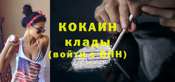 ешки Аркадак