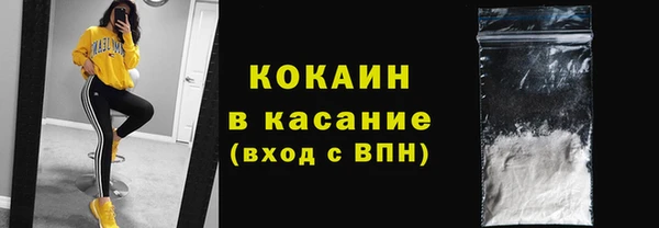 ешки Аркадак