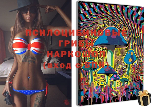 ешки Аркадак