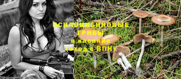 герыч Арсеньев